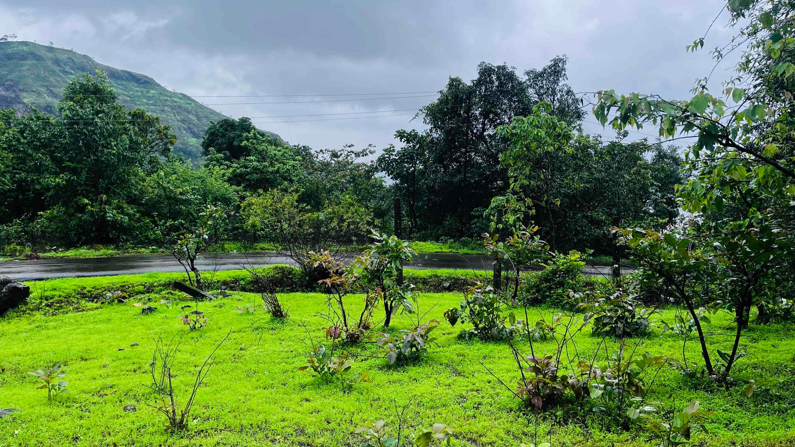Royal View Farms Demarcated Boundary & Hill View